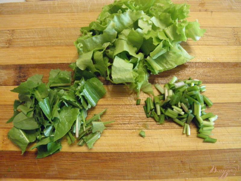 Фото приготовление рецепта: Салат из листьев одуванчика с редисом и огурцом шаг №3