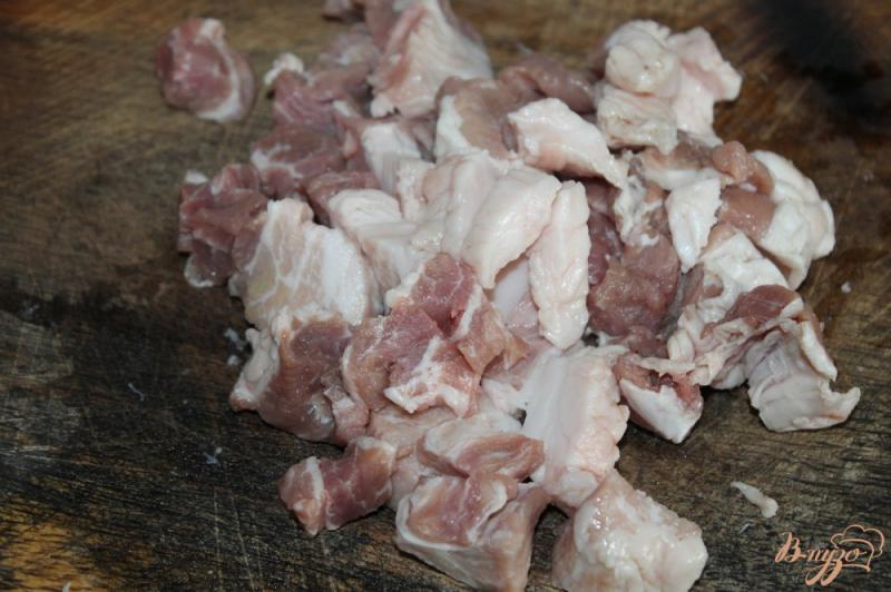 Фото приготовление рецепта: Шаурма со свининой и солеными огурцами шаг №1