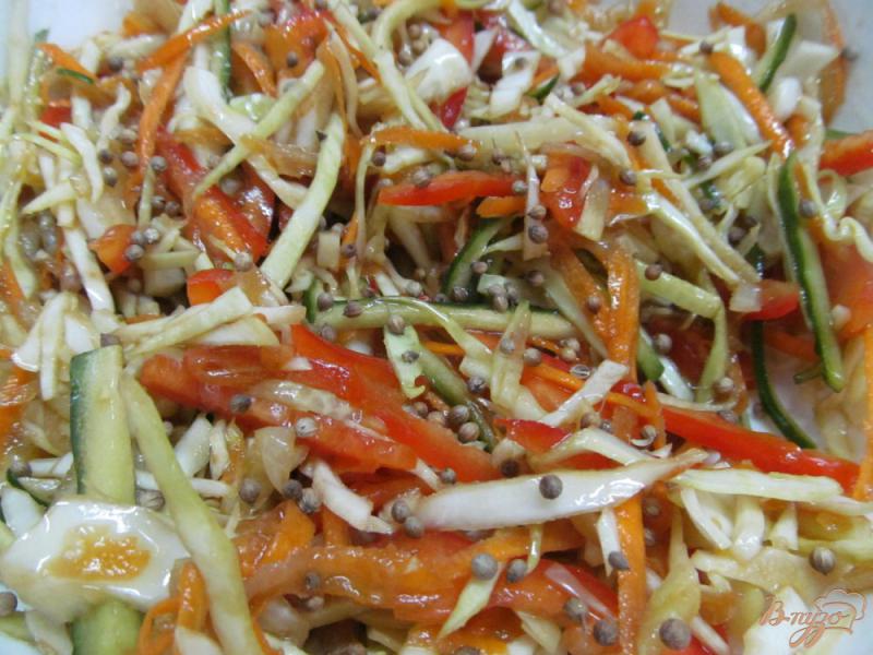 Фото приготовление рецепта: Салат «капуста по корейски» шаг №7