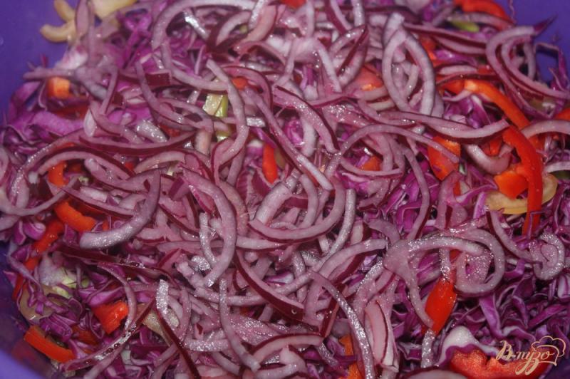 Фото приготовление рецепта: Салат из краснокочанной капусты с овощами шаг №3