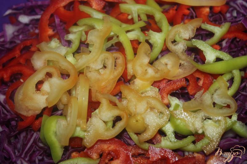 Фото приготовление рецепта: Салат из краснокочанной капусты с овощами шаг №2