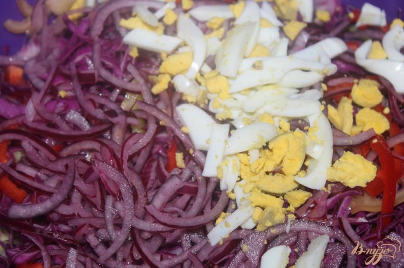 Фото приготовление рецепта: Салат из краснокочанной капусты с овощами шаг №4