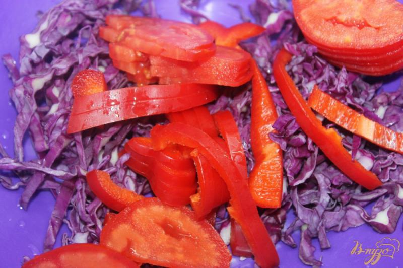 Фото приготовление рецепта: Салат из краснокочанной капусты и жареных баклажан шаг №4