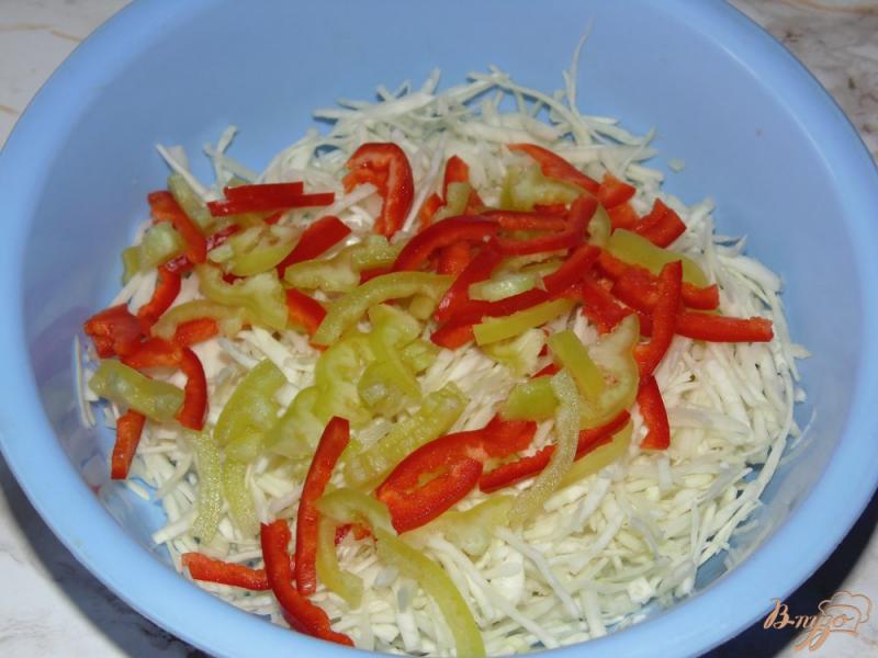 Фото приготовление рецепта: Капустный салат со сладким перцем и огурцом шаг №2