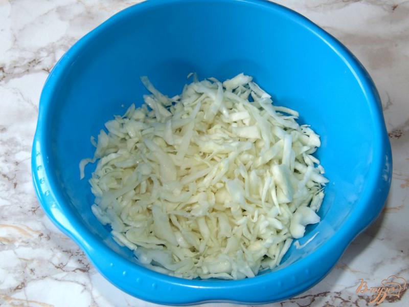 Фото приготовление рецепта: Капустный салат с черной фасолью и сладким перцем шаг №1