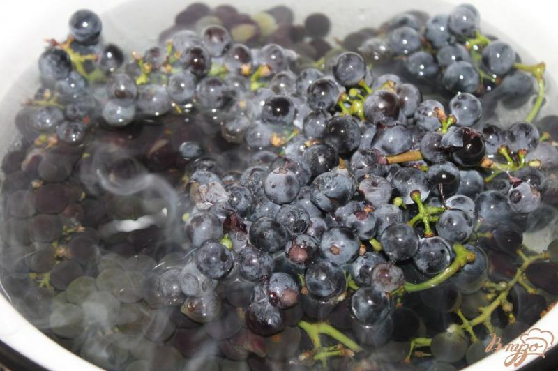 Фото приготовление рецепта: Компот из синего винограда с медом и мятой шаг №2