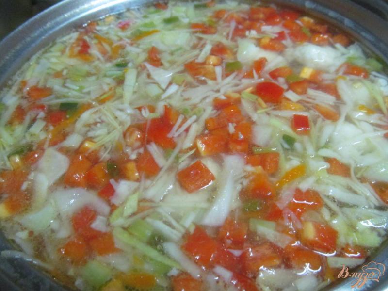Фото приготовление рецепта: Овощной суп с цветной капустой шаг №5