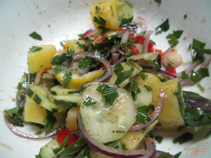 Фото приготовление рецепта: Легкий картофельный салат шаг №3