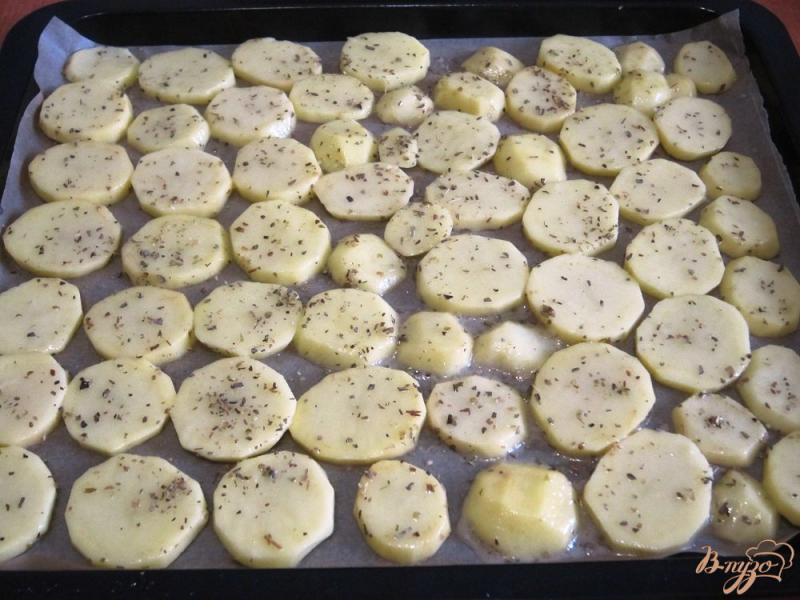 Фото приготовление рецепта: Запеканка с картофелем и фаршем шаг №2