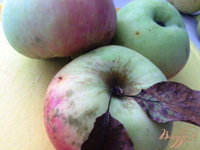 Фото приготовление рецепта: Яблочно - грушевое пюре для маленьких шаг №1