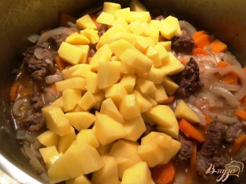 Фото приготовление рецепта: Картофель тушеный с говядиной шаг №3