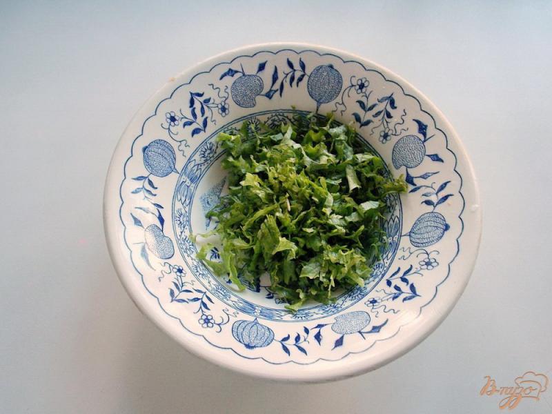 Фото приготовление рецепта: Салат из свежей капусты с морковью, яблоком и листьями салата шаг №4