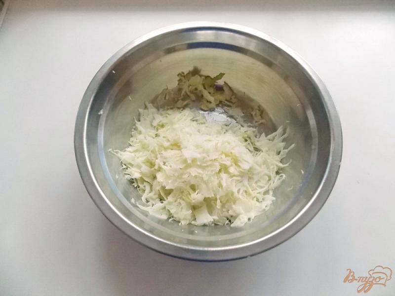 Фото приготовление рецепта: Салат из  белокочанной  капусты с колбасой и майонезом шаг №1