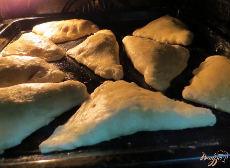 Фото приготовление рецепта: Пирожки  с мясом из теста рубленого в комбайне шаг №9