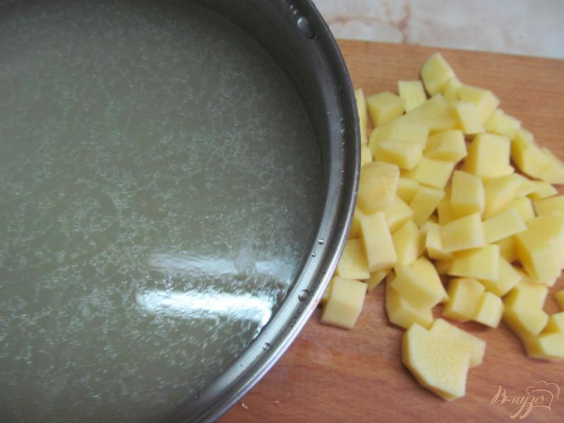 Фото приготовление рецепта: Суп с пшеном и щавелем шаг №1