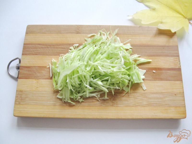 Фото приготовление рецепта: Капуста тушёная с овощами и грибами шаг №1