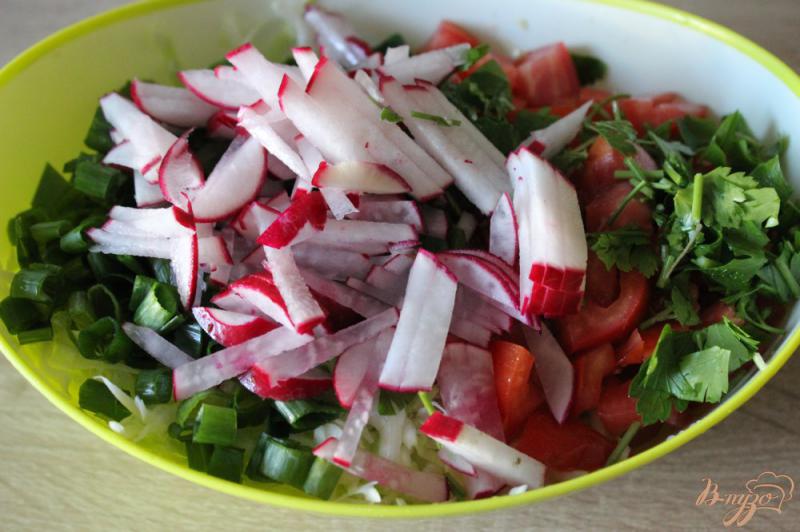 Фото приготовление рецепта: Салат из летних овощей шаг №3