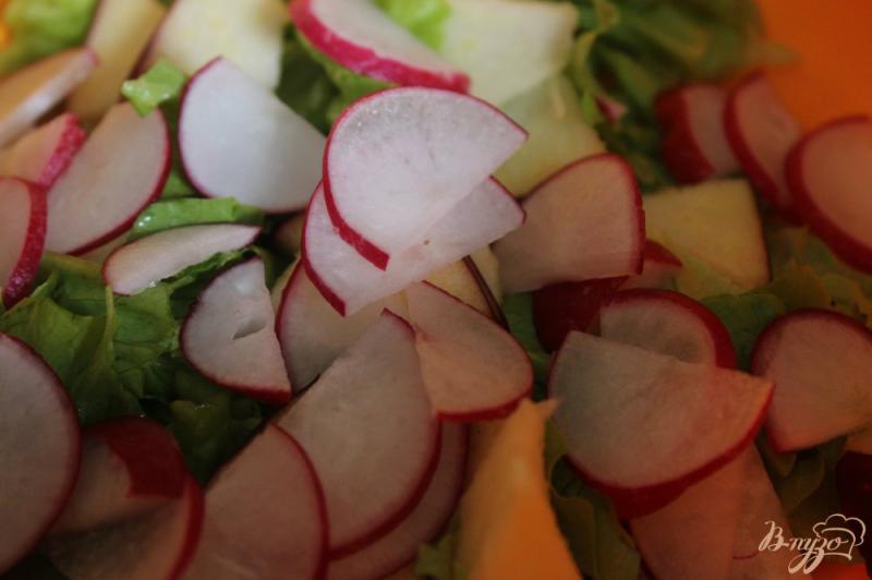 Фото приготовление рецепта: Салат со свеклой, редисом и яблоком шаг №2