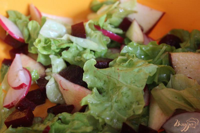 Фото приготовление рецепта: Салат со свеклой, редисом и яблоком шаг №6