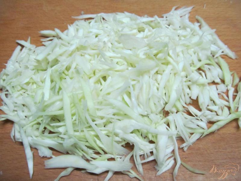 Фото приготовление рецепта: Салат из капусты с мясом шаг №1