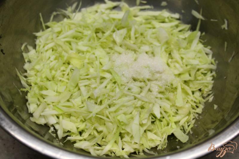 Фото приготовление рецепта: Салат из капусты с солеными грибами и красным луком шаг №1