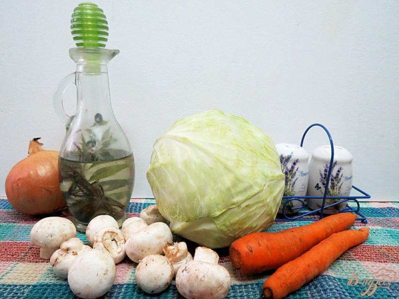 Фото приготовление рецепта: Капуста тушёная с грибами шаг №1