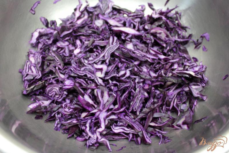 Фото приготовление рецепта: Салат из красной капусты с семенами льна и сметаной шаг №1