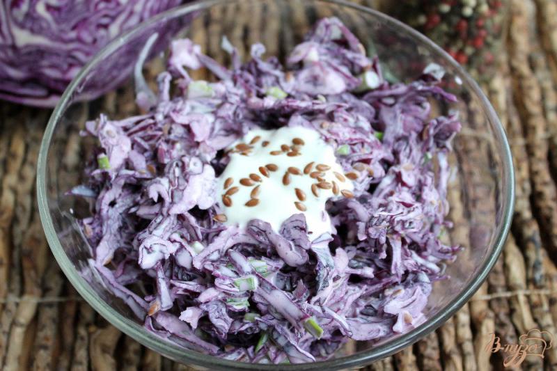 Фото приготовление рецепта: Салат из красной капусты с семенами льна и сметаной шаг №5