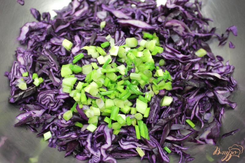 Фото приготовление рецепта: Салат из красной капусты с семенами льна и сметаной шаг №2