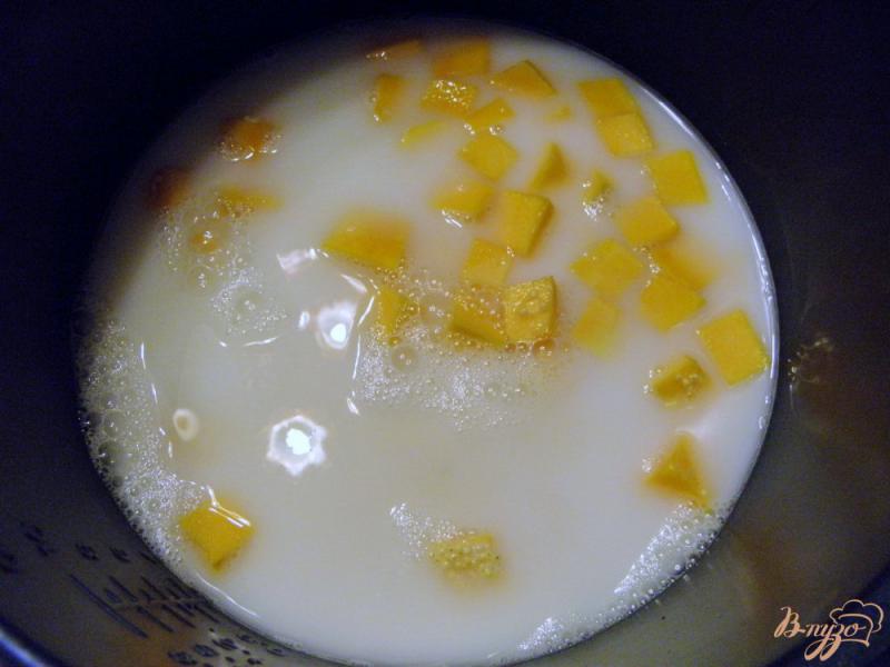Фото приготовление рецепта: Молочная каша из пшена и тыквы шаг №3