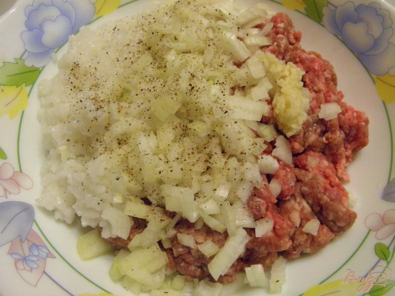 Фото приготовление рецепта: Тефтели в томатной заливке шаг №1