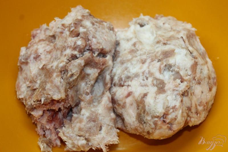 Фото приготовление рецепта: Домашние котлеты со свинины в панировке шаг №1
