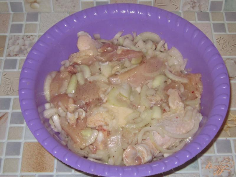 Фото приготовление рецепта: Шашлык из курицы классический шаг №5