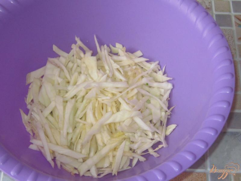Фото приготовление рецепта: Салат с квашеной капустой и редькой шаг №1