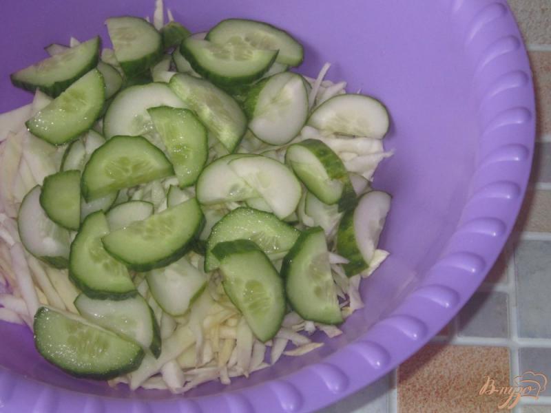 Фото приготовление рецепта: Салат с квашеной капустой и редькой шаг №2