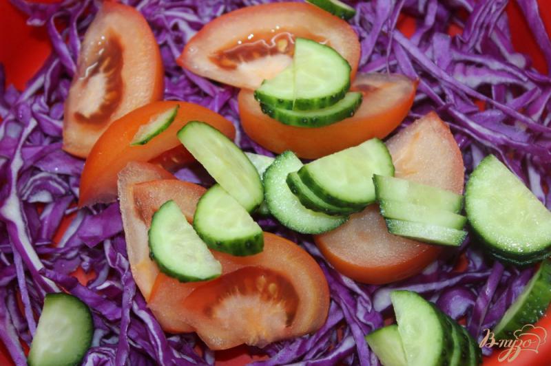Фото приготовление рецепта: Фитнес салат с краснокочанной капусты шаг №3