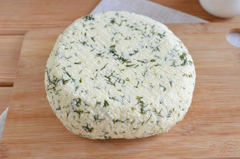 Фото приготовление рецепта: Сыр домашний с укропом шаг №11
