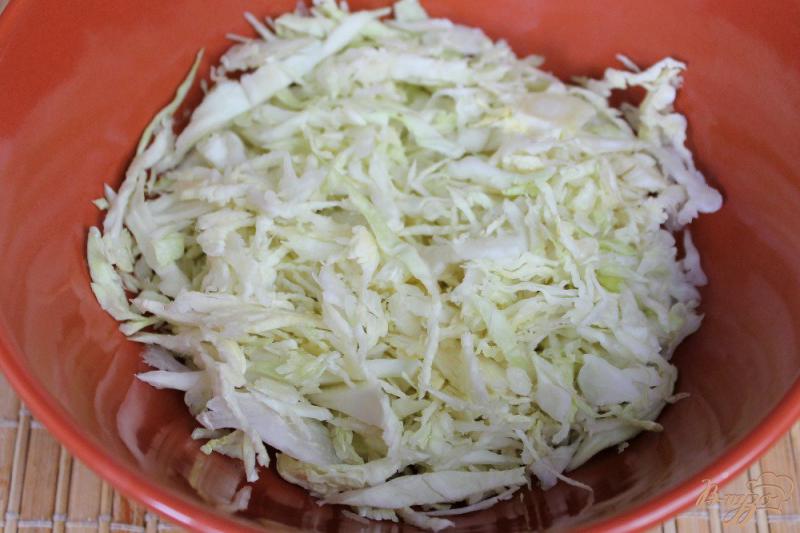 Фото приготовление рецепта: Салат из савойской капусты с индюшатиной шаг №1