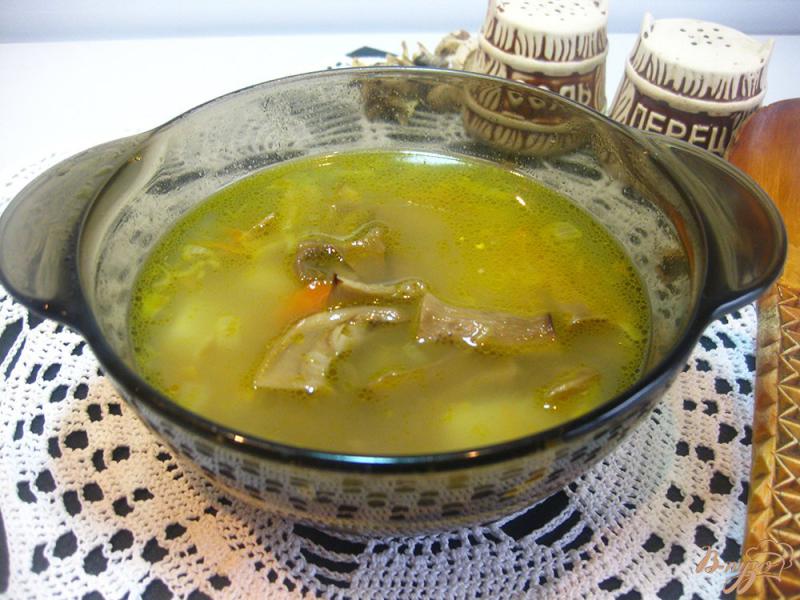 Фото приготовление рецепта: Суп с сушеными грибами шаг №11