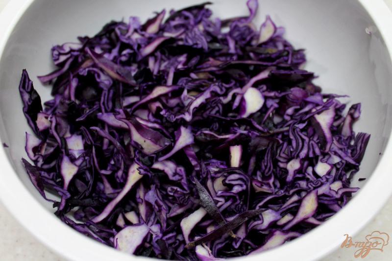 Фото приготовление рецепта: Салат из краснокочанной капусты с чесноком и сыром шаг №1