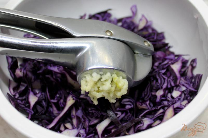 Фото приготовление рецепта: Салат из краснокочанной капусты с чесноком и сыром шаг №2