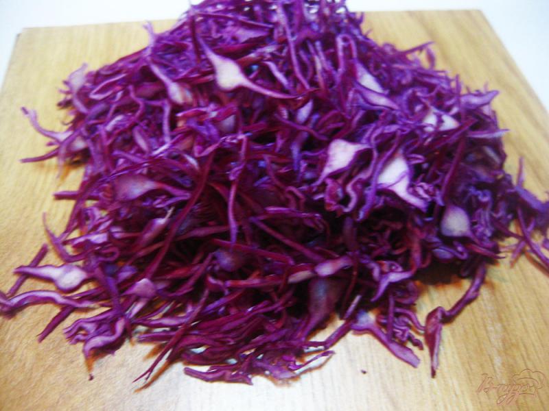 Фото приготовление рецепта: Салат с краснокачанной капустой и смородиной шаг №1