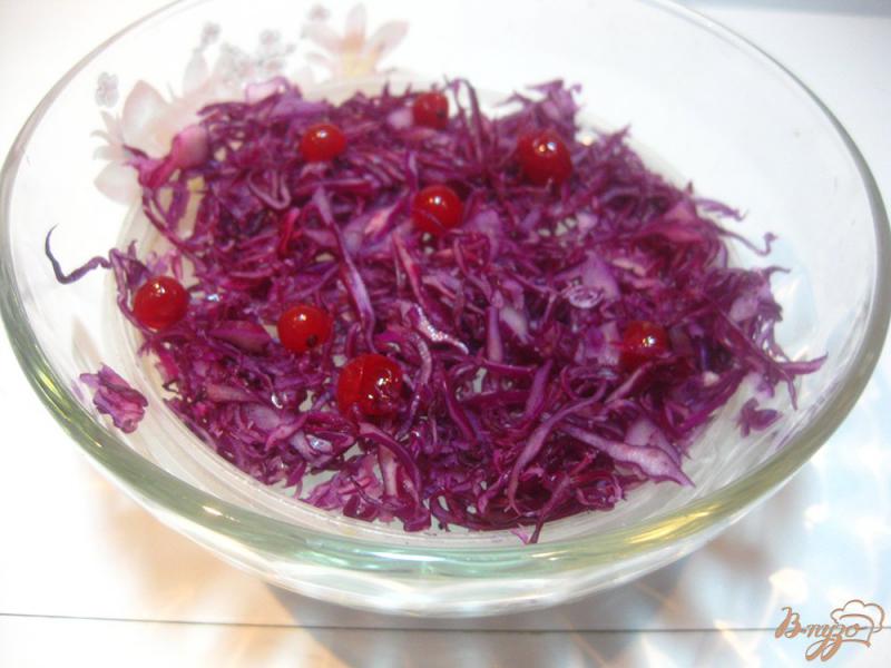 Фото приготовление рецепта: Салат с краснокачанной капустой и смородиной шаг №3