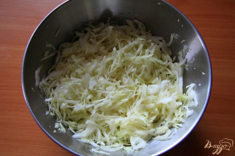 Фото приготовление рецепта: Салат со свежей капустой, морковью и помидорами шаг №2