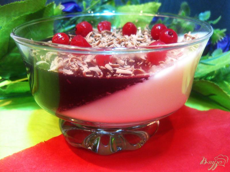 Фото приготовление рецепта: Сметанно-виноградный желейный десерт шаг №12