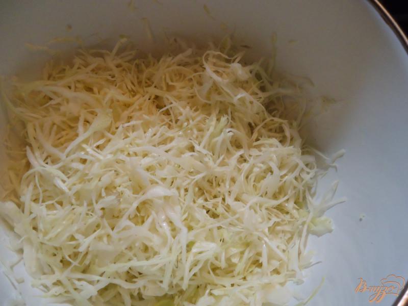 Фото приготовление рецепта: Пирог с капустой и зеленью шаг №1