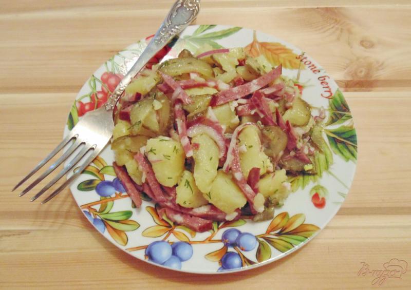 Фото приготовление рецепта: Немецкий картофельный салат шаг №9