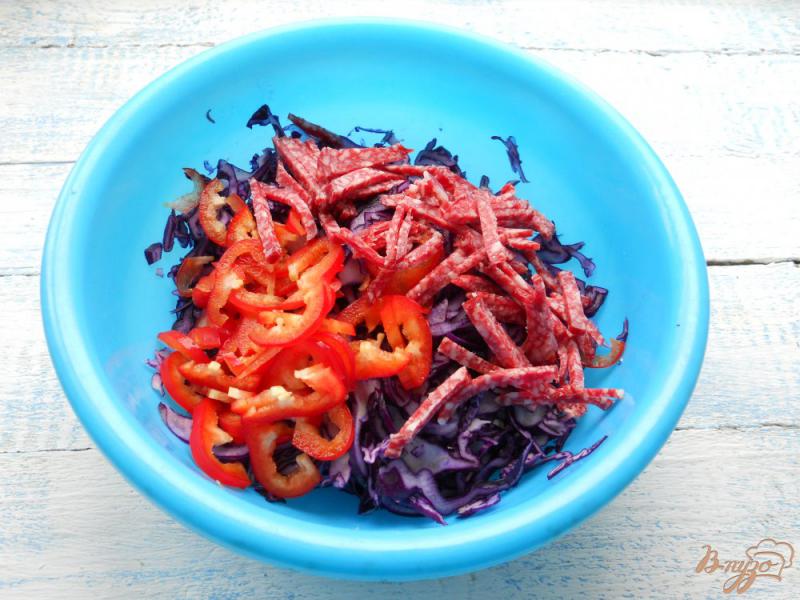 Фото приготовление рецепта: Салат из краснокочанной капусты с колбасой и свежим огурцом шаг №2
