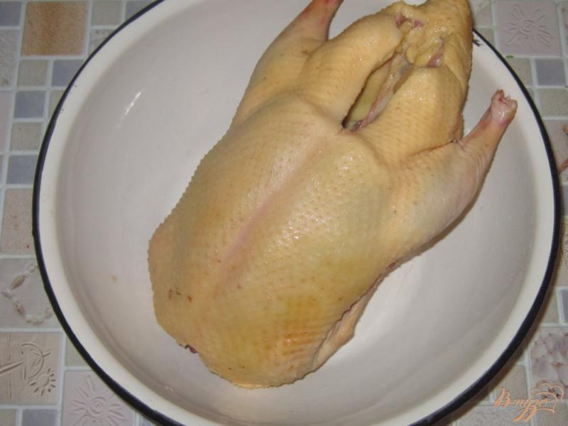 Фото приготовление рецепта: Утка запеченная в рукаве с калиной шаг №1