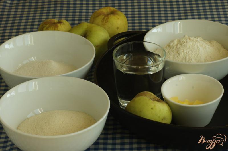 Фото приготовление рецепта: Постный пирог с яблоками шаг №1